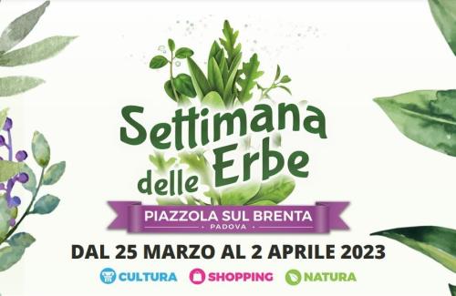 Visita al bacino Isola